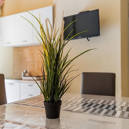 La Rimesa Di Titti - Simone * Alezio