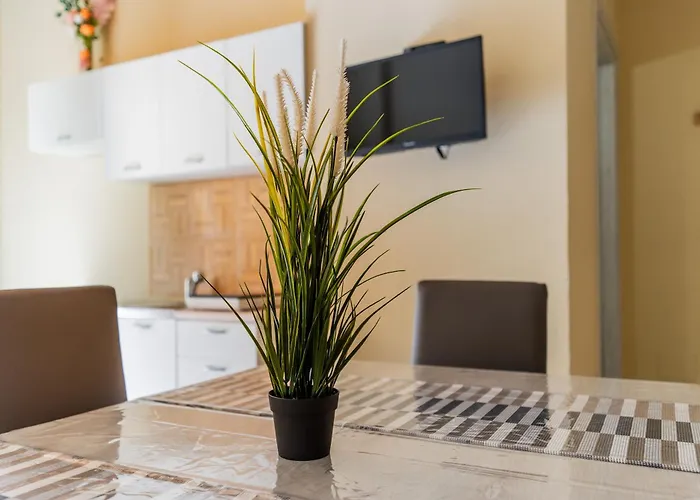 La Rimesa Di Titti - Simone * Alezio